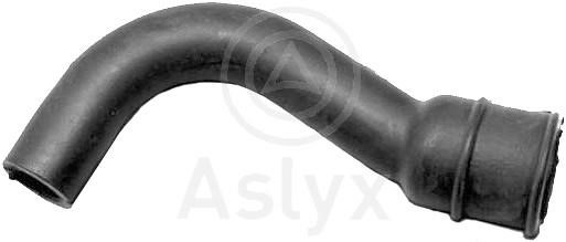 Aslyx AS-109538 Трубопровід, клапан системи рециркуляції ВГ AS109538: Купити в Україні - Добра ціна на EXIST.UA!