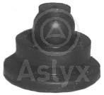Aslyx AS-506550 Кожух двигуна AS506550: Купити в Україні - Добра ціна на EXIST.UA!