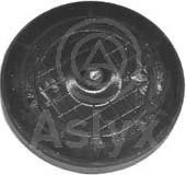 Aslyx AS-506227 Заглушка, монтажний отвір осі коромисла AS506227: Купити в Україні - Добра ціна на EXIST.UA!