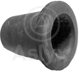 Aslyx AS-102326 Ущільнення, фланець охолоджувальної рідини AS102326: Купити в Україні - Добра ціна на EXIST.UA!