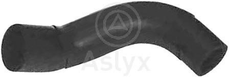 Aslyx AS-108166 Оливний шланг AS108166: Купити в Україні - Добра ціна на EXIST.UA!