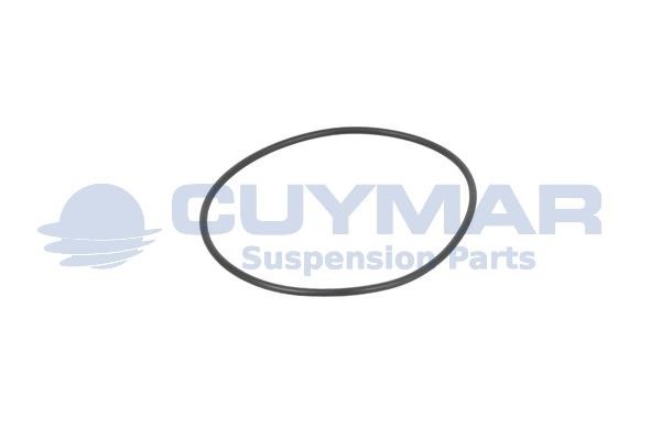 Cuymar 3403108 Ущільнювальне кільце, шийка осі 3403108: Купити в Україні - Добра ціна на EXIST.UA!
