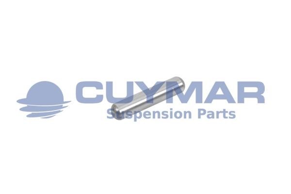 Cuymar 6002010 Болт для додаткового регулювання, гальмівна установка 6002010: Купити в Україні - Добра ціна на EXIST.UA!