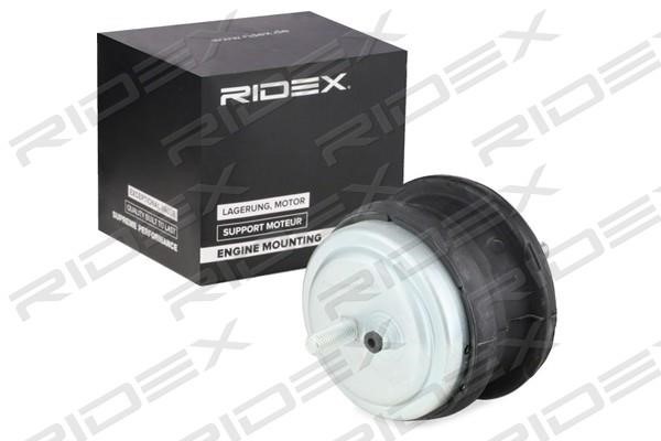Ridex 247E0053 Подушка двигуна 247E0053: Купити в Україні - Добра ціна на EXIST.UA!