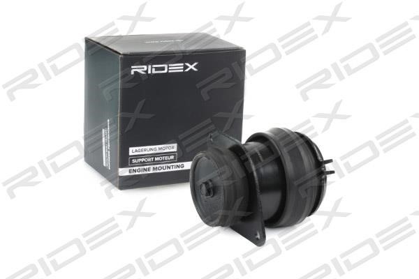 Ridex 247E0201 Подушка двигуна 247E0201: Купити в Україні - Добра ціна на EXIST.UA!