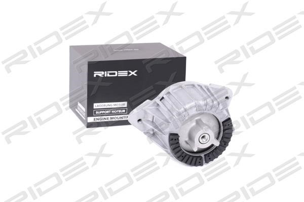 Ridex 247E0108 Подушка двигуна 247E0108: Купити в Україні - Добра ціна на EXIST.UA!