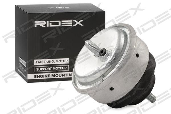 Ridex 247E0058 Подушка двигуна 247E0058: Купити в Україні - Добра ціна на EXIST.UA!