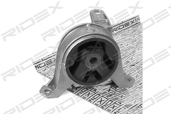 Ridex 247E0174 Подушка двигуна 247E0174: Купити в Україні - Добра ціна на EXIST.UA!