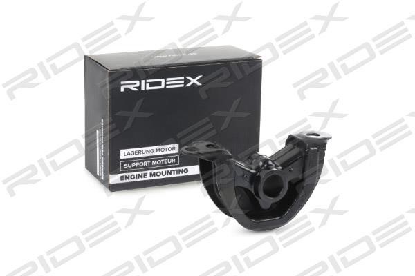 Ridex 247E0244 Подушка двигуна 247E0244: Купити в Україні - Добра ціна на EXIST.UA!