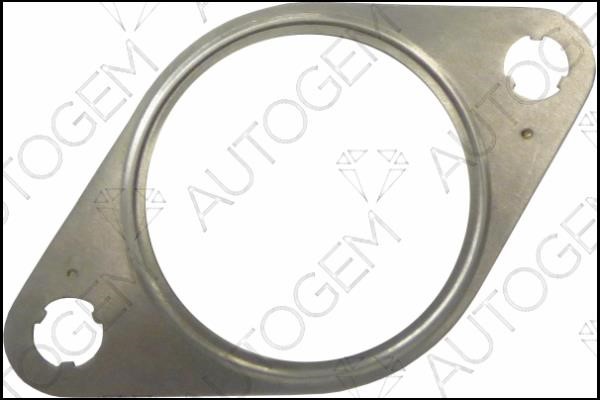 AutoGem CEG5630 Ущільнення, клапан системи рециркуляції ВГ CEG5630: Купити в Україні - Добра ціна на EXIST.UA!
