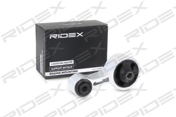 Ridex 247E0301 Подушка двигуна 247E0301: Купити в Україні - Добра ціна на EXIST.UA!