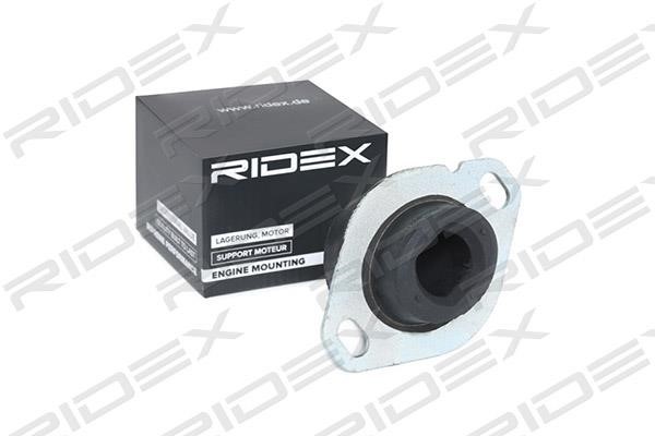Ridex 247E0114 Подушка двигуна 247E0114: Купити в Україні - Добра ціна на EXIST.UA!