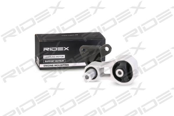 Ridex 247E0100 Подушка двигуна 247E0100: Купити в Україні - Добра ціна на EXIST.UA!