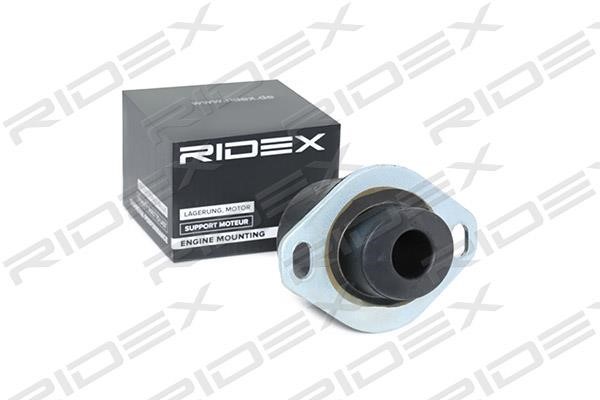 Ridex 247E0066 Подушка двигуна 247E0066: Купити в Україні - Добра ціна на EXIST.UA!