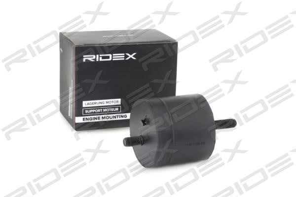Ridex 247E0199 Подушка двигуна 247E0199: Купити в Україні - Добра ціна на EXIST.UA!