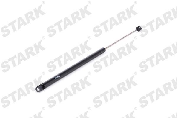 Купити Stark SKGS0220363 – суперціна на EXIST.UA!