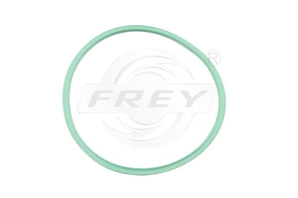 Frey 700531401 Ущільнення, паливний фільтр 700531401: Купити в Україні - Добра ціна на EXIST.UA!