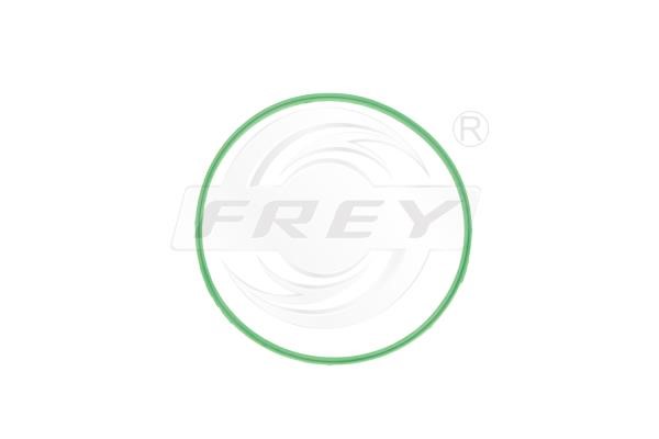 Frey 800500501 Ущільнення, термостат 800500501: Купити в Україні - Добра ціна на EXIST.UA!
