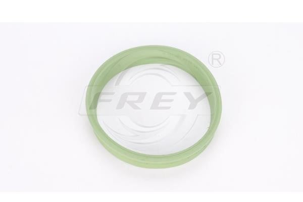 Frey 700401501 Ущільнювальне кільце, компресор 700401501: Купити в Україні - Добра ціна на EXIST.UA!
