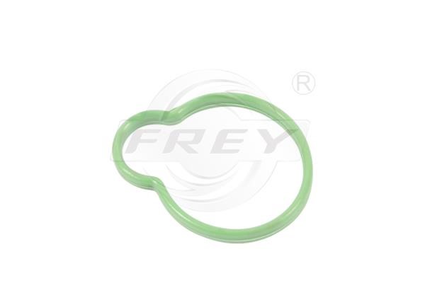 Frey 700601701 Прокладка впускного колектора 700601701: Купити в Україні - Добра ціна на EXIST.UA!