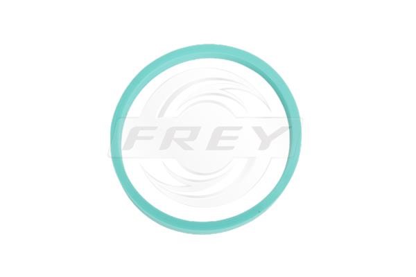 Frey 800510001 Прокладка впускного колектора 800510001: Купити в Україні - Добра ціна на EXIST.UA!