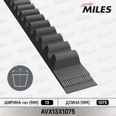 Miles AVX13X1075 Ремінь клиновий AVX13X1075: Купити в Україні - Добра ціна на EXIST.UA!