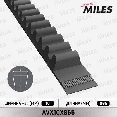 Miles AVX10X865 Ремінь клиновий AVX10X865: Купити в Україні - Добра ціна на EXIST.UA!