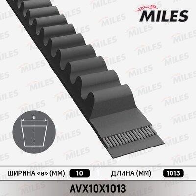 Miles AVX10X1013 Ремінь клиновий AVX10X1013: Купити в Україні - Добра ціна на EXIST.UA!