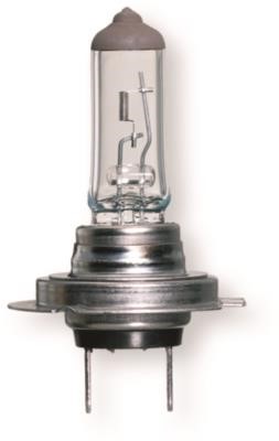 Berner 98188[A] Лампа розжарювання, основна фара 98188A: Купити в Україні - Добра ціна на EXIST.UA!