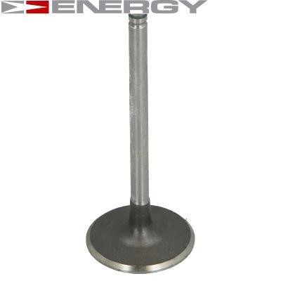 Energy 90220119 Клапан впускний 90220119: Купити в Україні - Добра ціна на EXIST.UA!
