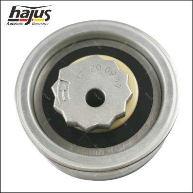 Купити Hajus 1091049 за низькою ціною в Україні!