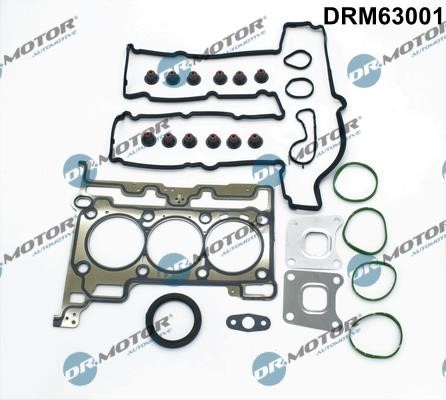 Dr.Motor DRM63001 Прокладка двигуна, комплект DRM63001: Купити в Україні - Добра ціна на EXIST.UA!