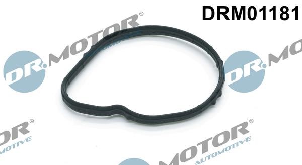 Dr.Motor DRM01181 Прокладка термостата DRM01181: Купити в Україні - Добра ціна на EXIST.UA!