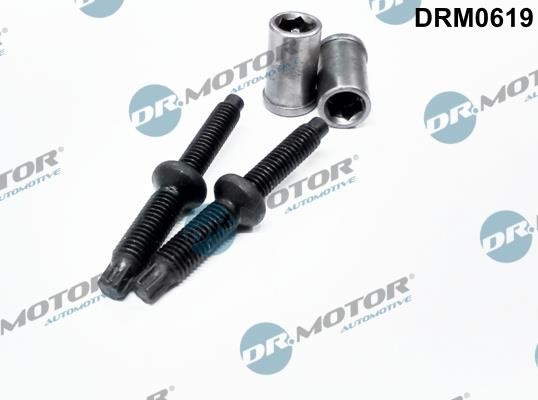 Dr.Motor DRM0619 Гвинт, тримач інжекторної форсунки DRM0619: Купити в Україні - Добра ціна на EXIST.UA!