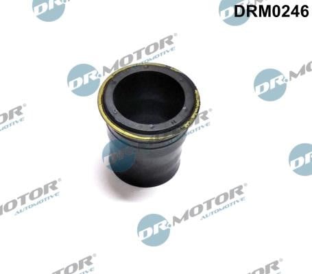Dr.Motor DRM0246 Сальник DRM0246: Купити в Україні - Добра ціна на EXIST.UA!