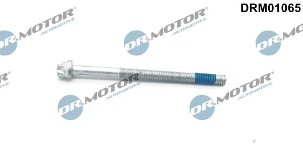 Dr.Motor DRM01065 Гвинт, тримач інжекторної форсунки DRM01065: Купити в Україні - Добра ціна на EXIST.UA!