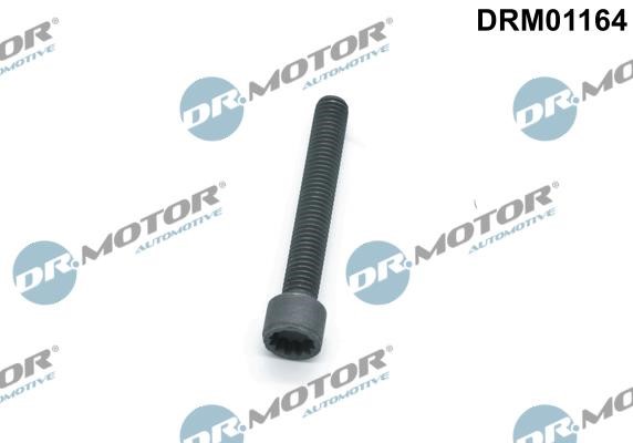 Dr.Motor DRM01164 Гвинт, тримач інжекторної форсунки DRM01164: Купити в Україні - Добра ціна на EXIST.UA!