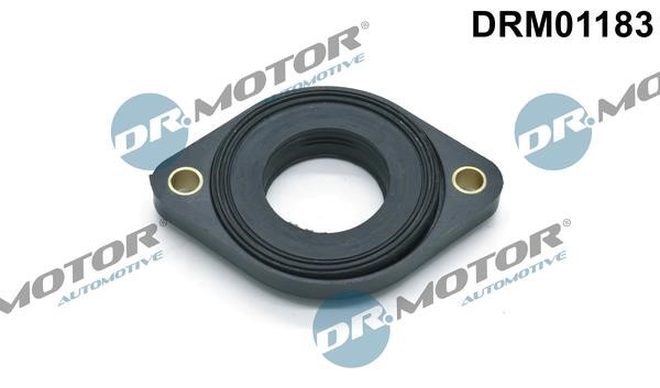 Dr.Motor DRM01183 Ущільнення, регулювання фаз газорозподілу DRM01183: Купити в Україні - Добра ціна на EXIST.UA!