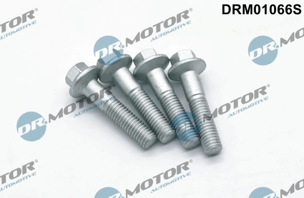 Dr.Motor DRM01066S Гвинт, тримач інжекторної форсунки DRM01066S: Купити в Україні - Добра ціна на EXIST.UA!