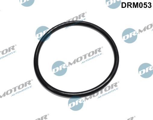 Dr.Motor DRM053 Прокладка фільтра масляного DRM053: Приваблива ціна - Купити в Україні на EXIST.UA!