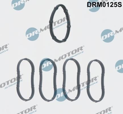 Dr.Motor DRM0125S Прокладки впускного колектора, комплект DRM0125S: Купити в Україні - Добра ціна на EXIST.UA!