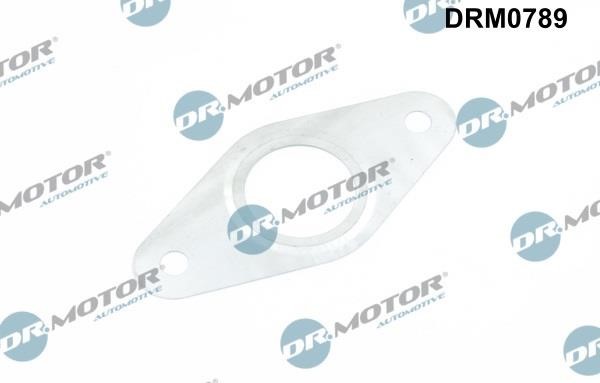 Dr.Motor DRM0789 Комплект ущільнень, система рециркуляції ВГ DRM0789: Купити в Україні - Добра ціна на EXIST.UA!