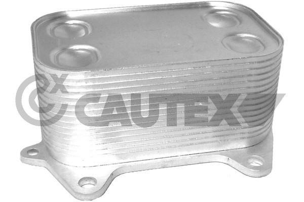 Cautex 462524 Радіатор масляний 462524: Купити в Україні - Добра ціна на EXIST.UA!