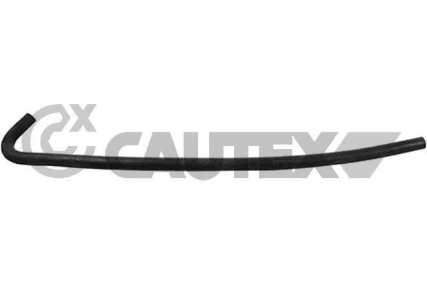 Cautex 764706 Шланг радіатора 764706: Купити в Україні - Добра ціна на EXIST.UA!