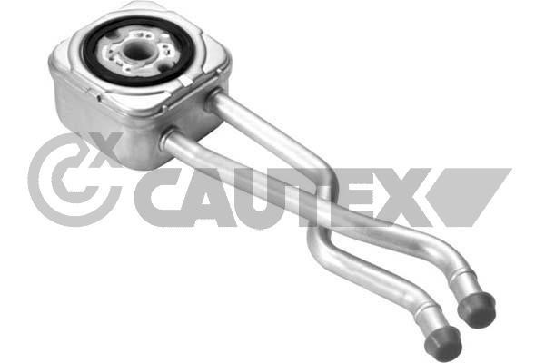 Cautex 462527 Радіатор масляний 462527: Купити в Україні - Добра ціна на EXIST.UA!