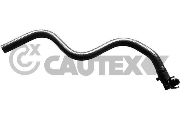 Cautex 771373 Шланг радіатора 771373: Купити в Україні - Добра ціна на EXIST.UA!