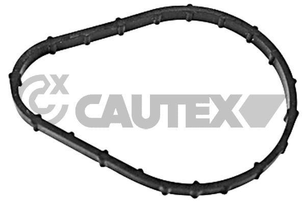Cautex 769250 Прокладка термостата 769250: Купити в Україні - Добра ціна на EXIST.UA!