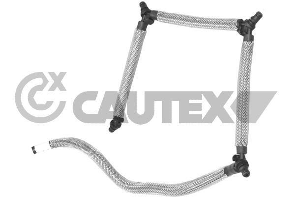 Cautex 031707 З’єднувальний кабель, клапан впорскування 031707: Купити в Україні - Добра ціна на EXIST.UA!