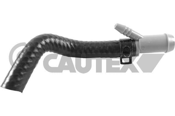 Cautex 765657 Шланг радіатора 765657: Купити в Україні - Добра ціна на EXIST.UA!