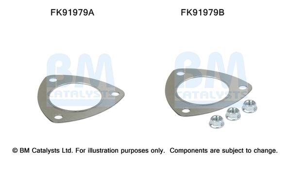 BM Catalysts FK91979 Комплект для монтажу, каталізатор FK91979: Купити в Україні - Добра ціна на EXIST.UA!